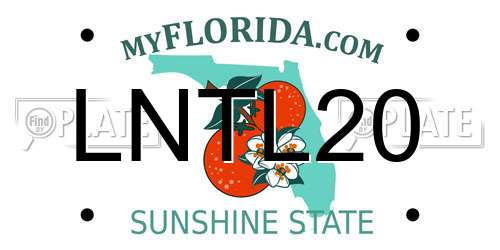 LNTL20 Florida License Plate