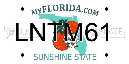 LNTM61 Florida License Plate