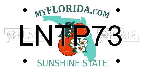 LNTP73 Florida License Plate