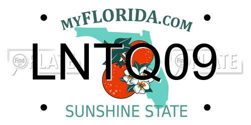 LNTQ09 Florida License Plate