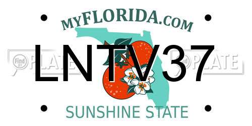LNTV37 Florida License Plate