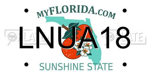 LNUA18 Florida License Plate