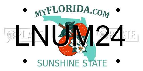 LNUM24 Florida License Plate