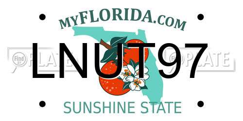 LNUT97 Florida License Plate