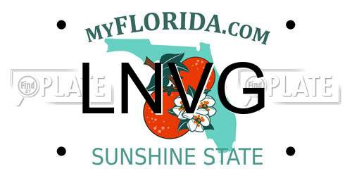 LNVG Florida License Plate