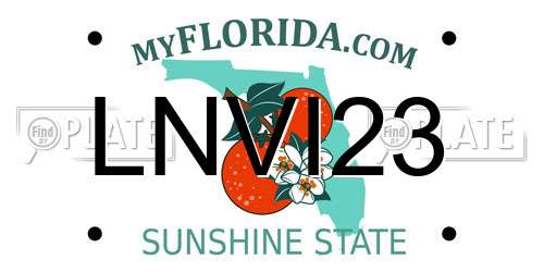 LNVI23 Florida License Plate