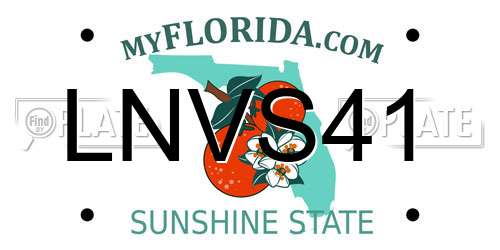 LNVS41 Florida License Plate