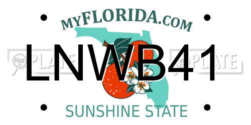 LNWB41 Florida License Plate