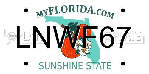 LNWF67 Florida License Plate
