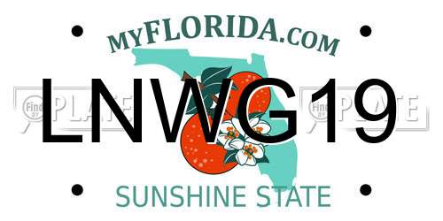 LNWG19 Florida License Plate