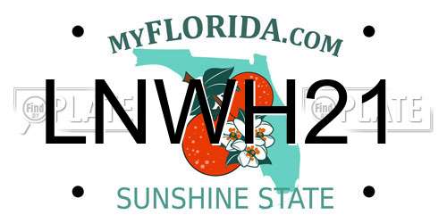 LNWH21 Florida License Plate