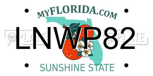 LNWP82 Florida License Plate