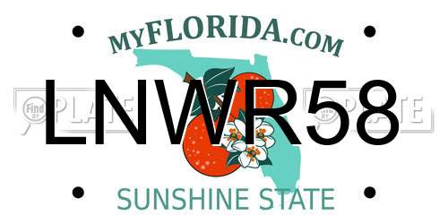 LNWR58 Florida License Plate
