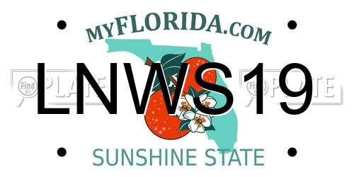 LNWS19 Florida License Plate