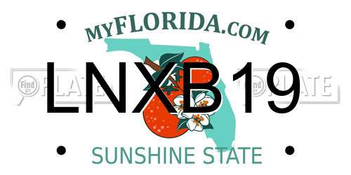 LNXB19 Florida License Plate