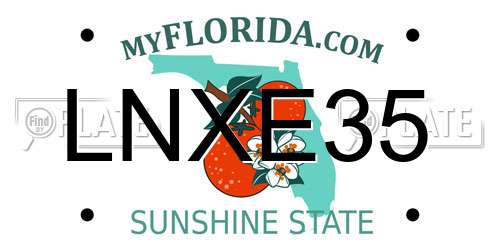 LNXE35 Florida License Plate