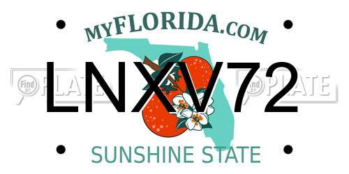 LNXV72 Florida License Plate