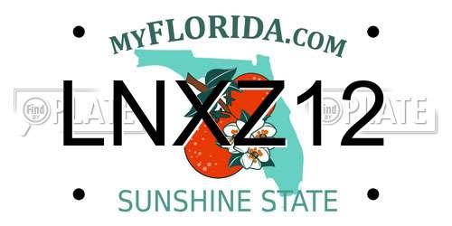 LNXZ12 Florida License Plate
