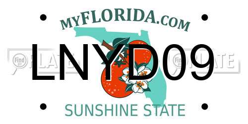 LNYD09 Florida License Plate