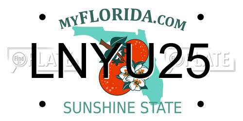 LNYU25 Florida License Plate