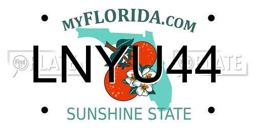 LNYU44 Florida License Plate