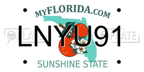 LNYU91 Florida License Plate