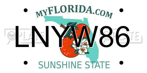 LNYW86 Florida License Plate