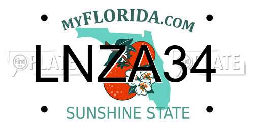LNZA34 Florida License Plate