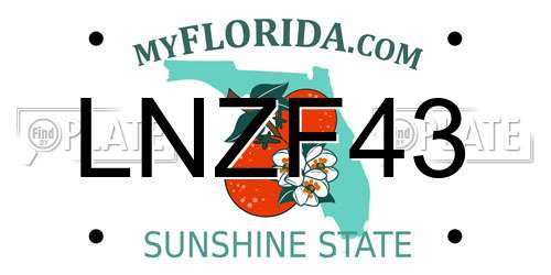 LNZF43 Florida License Plate