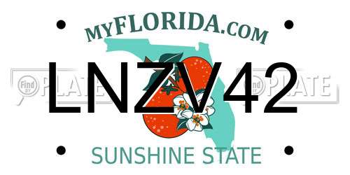 LNZV42 Florida License Plate