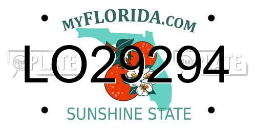 LO29294 Florida License Plate