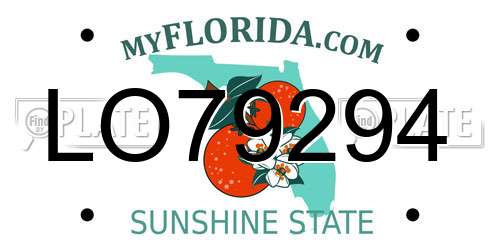 LO79294 Florida License Plate