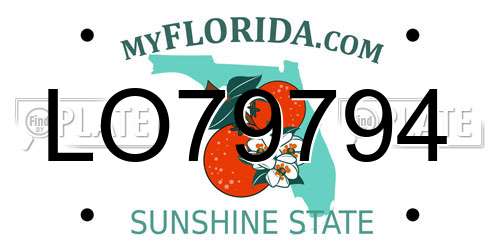 LO79794 Florida License Plate