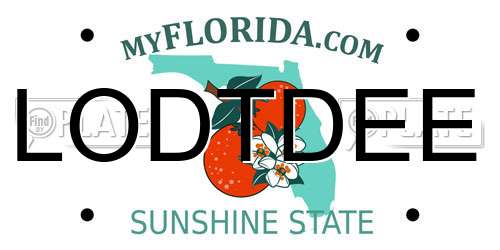 LODTDEE Florida License Plate