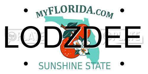 LODZDEE Florida License Plate