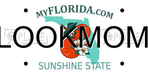 LOOKMOM Florida License Plate
