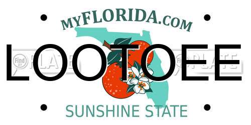 LOOTOEE Florida License Plate