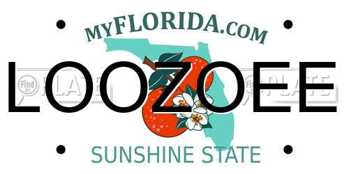 LOOZOEE Florida License Plate
