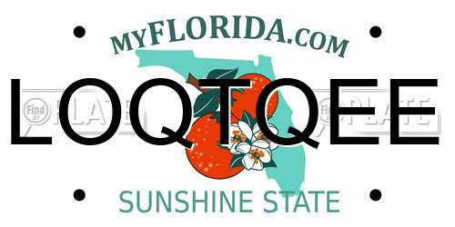 LOQTQEE Florida License Plate