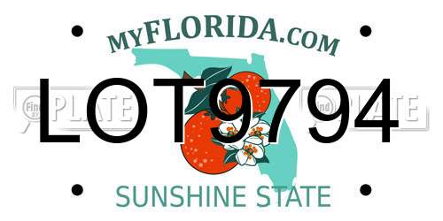 LOT9794 Florida License Plate