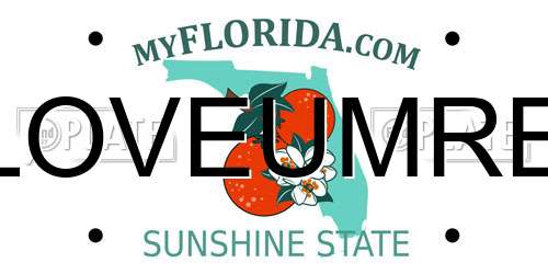 LOVEUMRE Florida License Plate