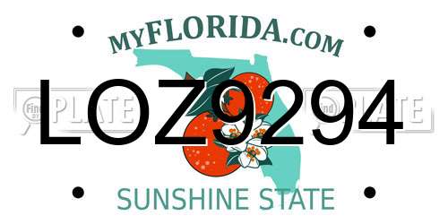 LOZ9294 Florida License Plate