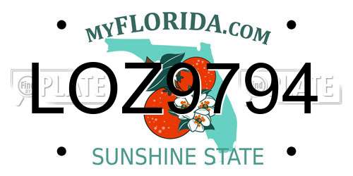 LOZ9794 Florida License Plate