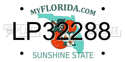 LP32288 Florida License Plate