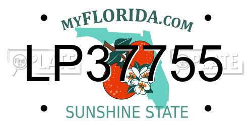 LP37755 Florida License Plate