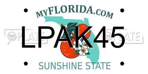LPAK45 Florida License Plate