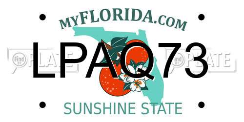 LPAQ73 Florida License Plate
