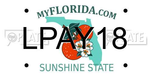 LPAY18 Florida License Plate