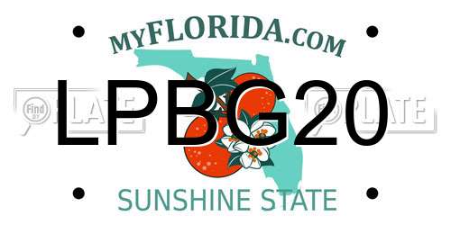 LPBG20 Florida License Plate