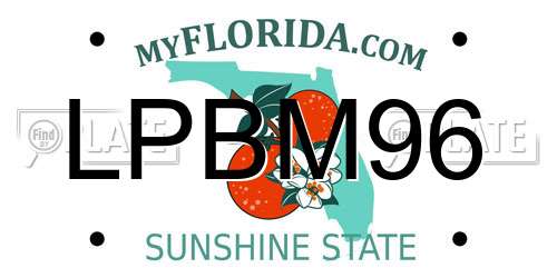 LPBM96 Florida License Plate